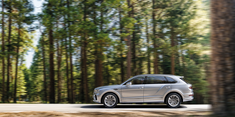 Bentley Almaty Bentley Bentayga Extended Wheelbase SUV in Moonbeam paint driving dynamically on a forest road